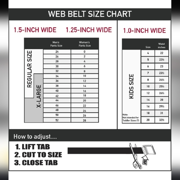 Wonder Woman Themed Belt - Red and Blue Chrome Buckle Web Belt - Picture 2 of 7